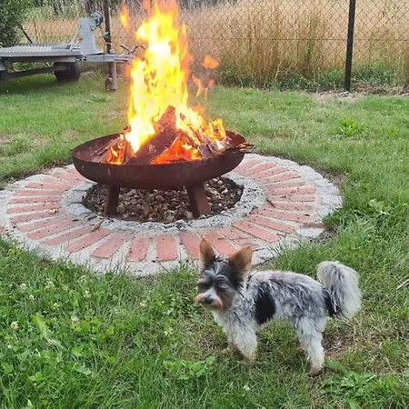 Guestelitz Mit Viel Gustelitz